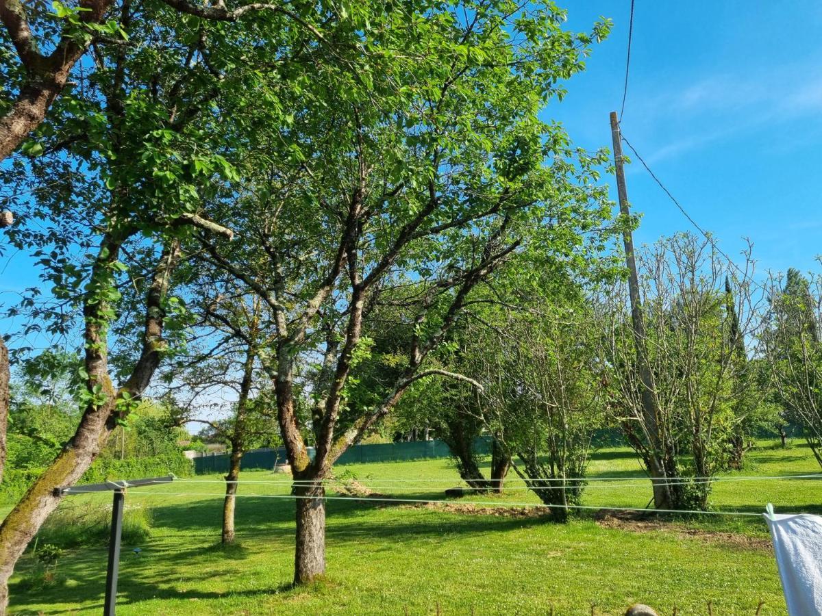 Les 3 Cedres Villa Miramont-de-Guyenne ภายนอก รูปภาพ